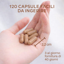 Carica l'immagine nel visualizzatore di Gallery, Ashwagandha KSM-66 10000mg Alto Dosaggio (Estratto di Ashwagandha Bio 10:1) Vitamina B6 B1 Zinco Magnesio Manganese, Veg