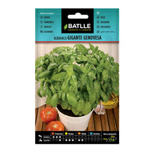 Carica l'immagine nel visualizzatore di Gallery, Battle - Semi Aromatici Basilico Gigante Genovesa (Semi - 20-40Cm)