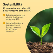 Carica l'immagine nel visualizzatore di Gallery, Nutravita Integratore di Luteina per Occhi - 90 Capsule Vegane