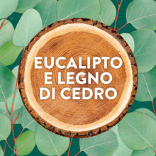 Carica l'immagine nel visualizzatore di Gallery, Air Wick Active Fresh Deodorante per Ambienti, Ricarica per Diffusore Spray Automatico senza Gas alla fragranza Eucalipt