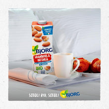 Carica l'immagine nel visualizzatore di Gallery, BJORG Bevanda Mandorla Intensa Biologica 0% Zuccheri 6x1L