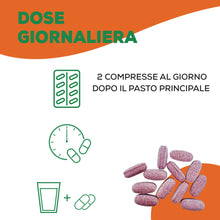 Carica l'immagine nel visualizzatore di Gallery, Matt, Riso Rosso e Fieno Greco con Fitosteroli, Integratore, 40 Compresse