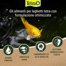 Carica l'immagine nel visualizzatore di Gallery, Tetra Pond Multi Mix 4 L Mangime per Pesci, Composto da 4 Diversi Tipi di Cibo (Cibo in Scaglie, Bastoncini, Gammarus, W