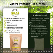 Carica l'immagine nel visualizzatore di Gallery, Sencha tè Verde Biologico 250g | Prezzo massimo | Confezione da 100 tazze | Delicato, leggermente erbaceo, ma sottilment