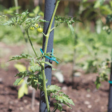 Carica l'immagine nel visualizzatore di Gallery, TENAX Tubetto Agricolo Verde 1000g Diametro 5mm, Legatura in PVC per Piante, ortaggi e Fiori, Lunghezza Circa 78 m