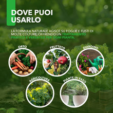 Carica l'immagine nel visualizzatore di Gallery, Combi Spray 500 ml | Con Olio di Neem e Sapone Molle | Naturale e Pronto all’Uso | Anti-Afidi, Cocciniglie e Fumaggine |