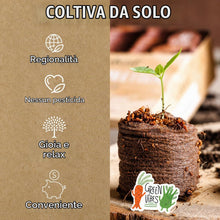 Carica l'immagine nel visualizzatore di Gallery, Pastiglie di Cocco, 50 Pezzi - Terriccio di Cocco Senza Torba, Ideale per la Coltivazione di talee e per Un Facile radic