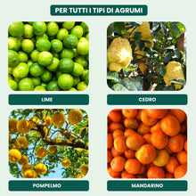 Carica l'immagine nel visualizzatore di Gallery, Il Paese Verde Concime Per Agrumi 1kg - Concime Granulare Per Limoni E Arance. Aiuta Lo Sviluppo Della Pianta E Migliora