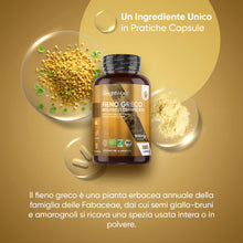 Carica l'immagine nel visualizzatore di Gallery, Fieno Greco Bio, Certificato e Vegano, 2 Capsule al Giorno, per 3 Mesi, Semi di Fieno Greco Polvere Biologica in Capsule