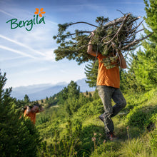 Carica l'immagine nel visualizzatore di Gallery, Bergila olio essenziale PINO CEMBRO BIO, 10 ml - 100% naturale di materia prima biologica - qualità controllata e certif