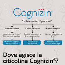 Carica l'immagine nel visualizzatore di Gallery, Citicolina Cognizin 500 mg PiùLife - 60 capsule