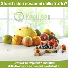Carica l'immagine nel visualizzatore di Gallery, Trappola per Mosche dei Frutti ✯Made in UE✯, Anti Moscherini Interno, Attrape Moscherini Cucina, Piega Moscherini e Mosc