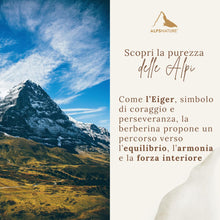 Carica l'immagine nel visualizzatore di Gallery, ALPS NATURE Berberine Fitosomada Berbevis® 600 mg – 60 Capsule per 30 giorni - Berberina Liposomiale Pura - Berberina ad