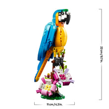 Carica l'immagine nel visualizzatore di Gallery, LEGO Creator 3 in 1 Pappagallo esotico 31136
