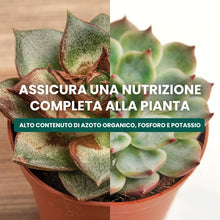 Carica l'immagine nel visualizzatore di Gallery, Il Paese Verde - Concime Piante Grasse, 330ml