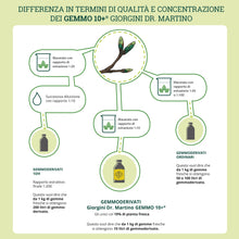 Carica l'immagine nel visualizzatore di Gallery, Dr. Giorgini FICO (Ficus Carica) Gemmoderivato Concentrato Liquido Analcoolico - 200 ml