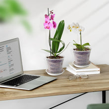 Carica l'immagine nel visualizzatore di Gallery, 8 vasi trasparenti per orchidee, 11/14/16/19 cm, in plastica