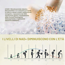 Carica l'immagine nel visualizzatore di Gallery, NAD+ 1500 mg con Resveratrolo, Integratore Anti‑Invecchiamento e Anti‑Età, Sostegno di Energia, Vegetariane, 120 Capsule