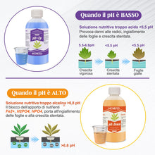 Carica l'immagine nel visualizzatore di Gallery, Misuratore di pH Digitale per Acqua e Idroponica con ATC