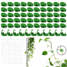 Carica l'immagine nel visualizzatore di Gallery, 60 PCS Clip per Piante, Parete per Piante Autoadesiva Plant Supports Accessorio per Appendere Piante Rampicanti Ha 6 Fog