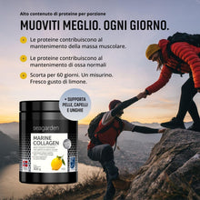 Carica l'immagine nel visualizzatore di Gallery, Seagarden Collagene Marino Puro Tipo 1 Limone - 300 g