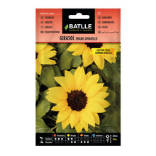 Carica l'immagine nel visualizzatore di Gallery, Battle- Semi di Fiori, Girasole Nano Giallo