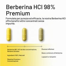 Carica l'immagine nel visualizzatore di Gallery, Berberina Pura 500 mg Alta Concentrazione, Estratto 10:1, 90 Capsule