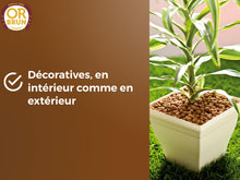 Carica l'immagine nel visualizzatore di Gallery, OR BRUN Sfere di Argilla – 6L – Promuove Il drenaggio e l'umidità, Utilizzabile in Agricoltura Biologica OBRPARG6U