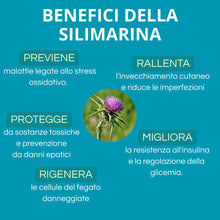 Carica l'immagine nel visualizzatore di Gallery, Berberina 500 mg con Silimarina – Cardo Mariano e Cromo – 60 Capsule