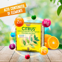 Carica l'immagine nel visualizzatore di Gallery, I Consigli dell’Esperto - Citrus Concime Per Agrumi 450gr – Concime Minerale Idrosolubile Per Piante di Limoni e Arance 