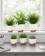 Carica l'immagine nel visualizzatore di Gallery, Bamworld Vaso per Piante da Interno con drenaggio Bianco 6 Pezzi Autoirrigante 12.7cm/14cm/15.2cm/16.5cm/17.8cm/20.3cm V