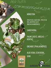 Carica l'immagine nel visualizzatore di Gallery, GreenPanda Combatte efficacemente le larve nel terreno e i moscerini fungini – Substrato biologico 2 in 1 per eliminare 