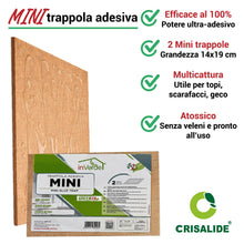 Carica l'immagine nel visualizzatore di Gallery, Crisalide® Trappola Adesiva per Topi, Scarafaggi e Geco, 2 Tavole Collanti in MDF Legno, Non Tossica, Senza Veleno, Pron