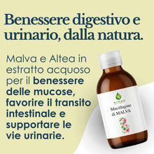 Carica l'immagine nel visualizzatore di Gallery, ERBEX Mucillagine di Malva e Altea 200 ml Integratore Alimentare Liquido
