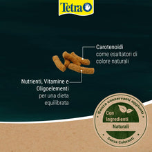 Carica l'immagine nel visualizzatore di Gallery, Tetra Pond Koi Sticks - Mangime completo per koi, 10 L