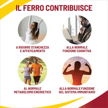 Carica l'immagine nel visualizzatore di Gallery, equilibra Integratori Alimentari, Ferro con Acido Folico + Vitamina C, Integratore a Base di Ferro, per la Normale Funzi
