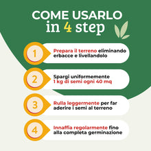 Carica l'immagine nel visualizzatore di Gallery, Albagarden - Semi Prato Resistente Al Calpestio - 40m² - Sementi Erba per Tappeti Erbosi per Aree Gioco - Super Calpesta