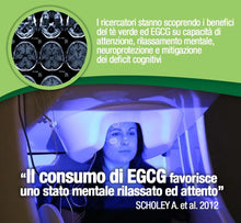 Carica l'immagine nel visualizzatore di Gallery, EGCG da tè verde ≥95% - Stimolante metabolico, blocca-fame, energizzante