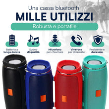 Carica l'immagine nel visualizzatore di Gallery, tempo di saldi Cassa Bluetooth Portatile Ricaricabile USB con Microfono Integrato, Mini Cassa Audio Speaker Bluetooth Im