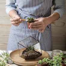 Carica l'immagine nel visualizzatore di Gallery, PartyKindom 8 pennelli per impollinazione manuale per piante grasse e alberi da frutto, strumento portatile per impollinazione delle api per la cura del giardino e delle piante