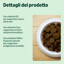 Carica l'immagine nel visualizzatore di Gallery, by Amazon Complete Dry Dog Food with Salmon And Rice for Medium And Large Breeds 5kg (Precedentemente Un Marchio Lifelon