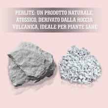 Carica l'immagine nel visualizzatore di Gallery, LERAVA® Perlite per Piante in Vaso (3L) - Drenaggio Ottimale e Radici Sane | Agriperlite Espansa Naturale - Substrato Le