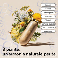 Carica l'immagine nel visualizzatore di Gallery, Drenante PiùLife con 8 Estratti Vegetali, Ananas e Betulla - 240 Capsule