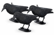 Carica l'immagine nel visualizzatore di Gallery, Brandsseller Corvo Nero in Plastica 36 x 20 cm Repellente per Piccioni Deterrente per Uccelli Contro Piccoli Uccelli e P
