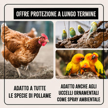 Carica l'immagine nel visualizzatore di Gallery, AniForte Spray Antiacaro per Polli, Galline e Pollame 500ml – Antiparassitario Contro Acari, Pidocchi e Parassiti, Spray