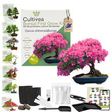 Carica l'immagine nel visualizzatore di Gallery, CULTIVEA Kit First Bonsai – Kit Completo con Semi, Accessori e Guida – Bonsai da Coltivare | Idea Regalo Originale (Cerc