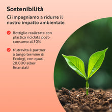 Carica l'immagine nel visualizzatore di Gallery, Nutravita Vitamina B Complex con D3-1 Anno