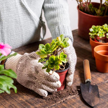 Carica l'immagine nel visualizzatore di Gallery, Avilia Set da Giardinaggio Ergonomico con Cesto in Vimini - Kit Completo di Attrezzi per Donna e Uomo, Accessori e Utensili Giardinaggio 35x22x29cm, Idea Regalo Perfetta