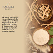 Carica l'immagine nel visualizzatore di Gallery, Bandini® Ashwagandha KSM-66® 100% Vegan, Withania Somnifera, KSM Pura