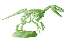 Carica l'immagine nel visualizzatore di Gallery, Clementoni - 19227 - Scienza E Gioco Lab - Archeogiocando Velociraptor - Dinosauri Fossili, Kit Fossili da Scavare E Ass